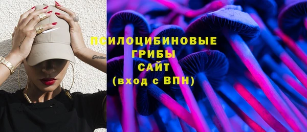 дживик Михайловск