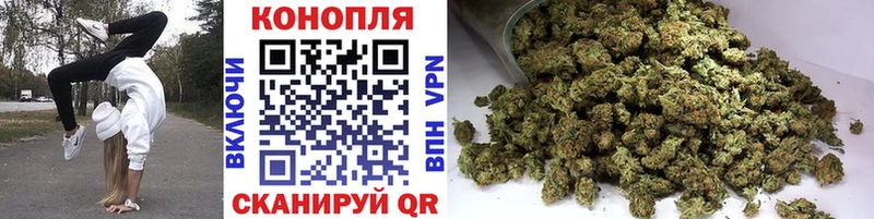 Конопля план  закладки  Тольятти 